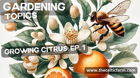 Grow Your Own Citrus: The Ultimate Beginner's Guide! 🍊🌱 (Episode 1)