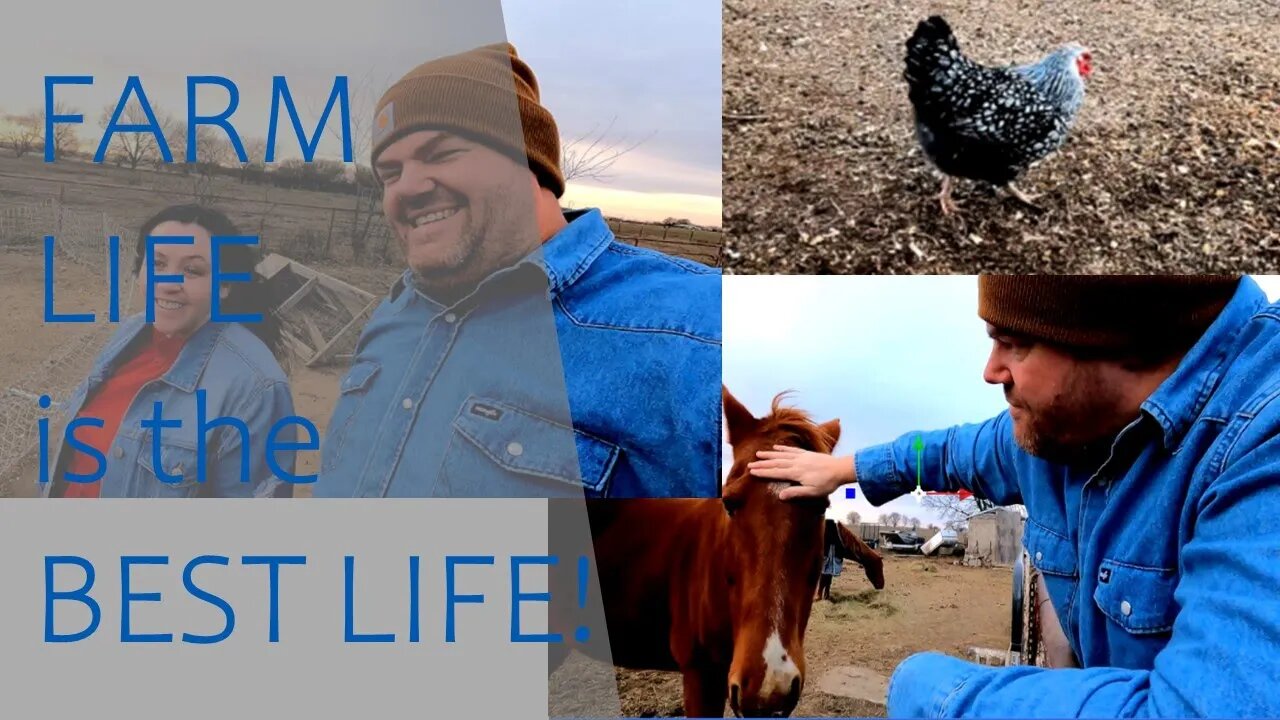 A Great Day Here On The Farm! #farmlife #farm #horses