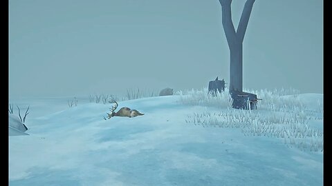 Long Dark Stalker S4 E9 Very Satisfying Hunting Trip