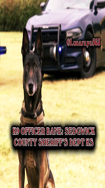 K9 Officer Bane