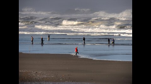 It looks like a normal sandy beach - but that's definitely not the case 😳