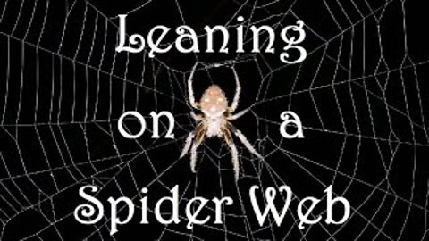 Leaning on a Spider Web: Job 8