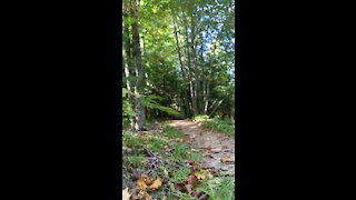 Upper Peninsula MTB