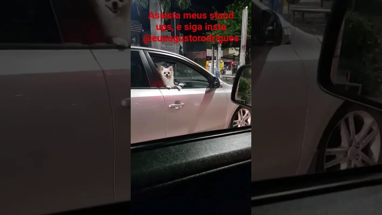 QUANDO VÊ UM DOGUINHO NA RUA #shorts