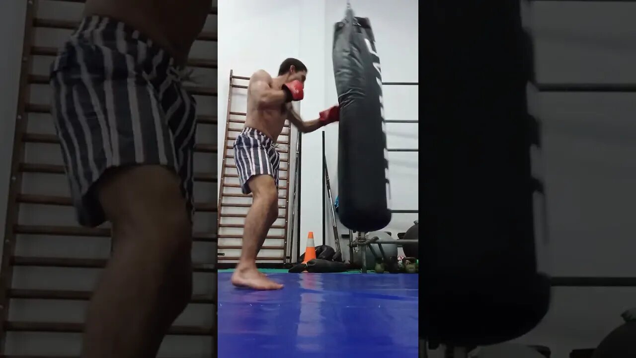 Kick and Punch Bag (37)