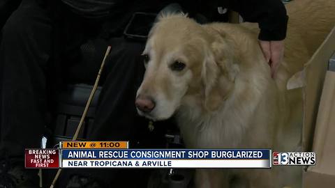 Las Vegas animal rescue thrift shop burglarized