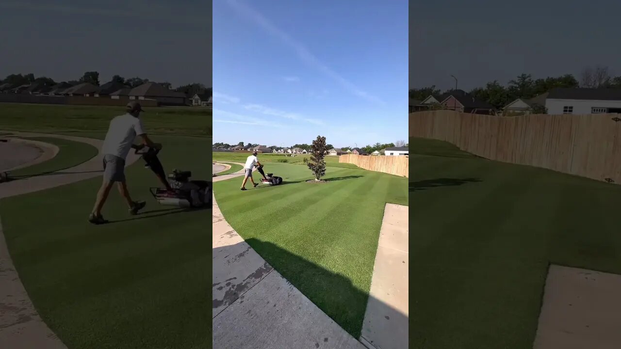 Lawn Striping 🤤