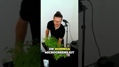 Discover the Power of Moringa Microgreens Use as Salad Garnish Game Changer