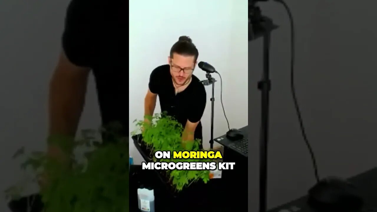 Discover the Power of Moringa Microgreens Use as Salad Garnish Game Changer