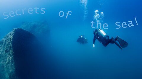 The Beauties of the sea