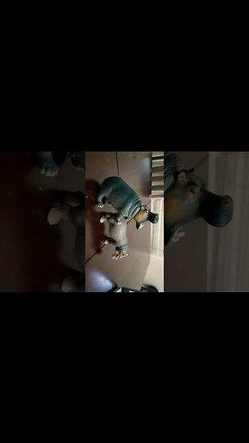 Alberta Hippocus-Shana mating in the open in Hampton Roads