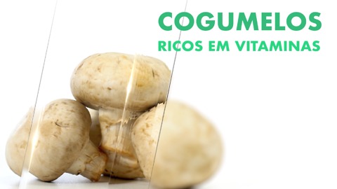 Cogumelos, abundantes em vitaminas.