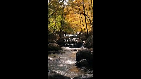 redfoxTVmusic