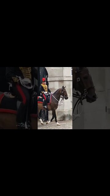 The gunners have the best horses #horseguardsparade