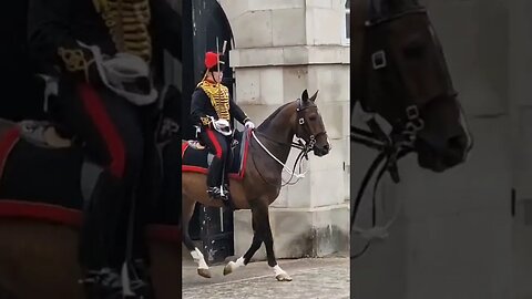 The gunners have the best horses #horseguardsparade