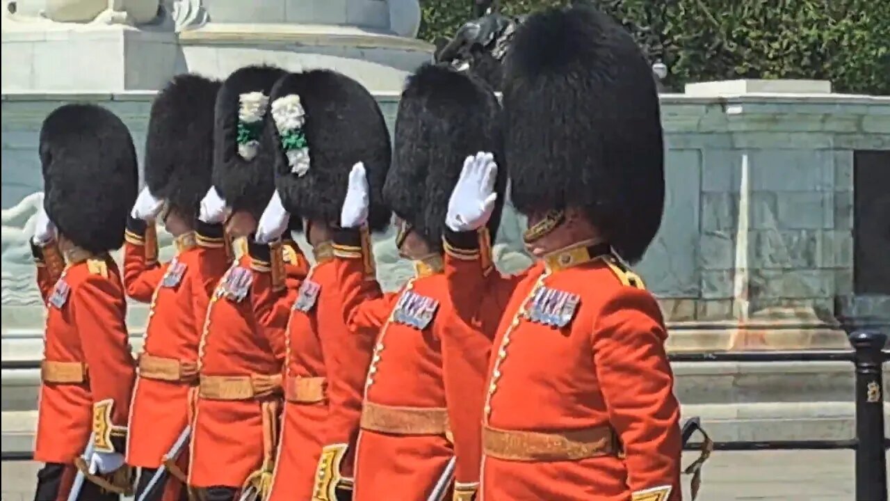 Guards salute Buckingham Palace #horseguardsparade