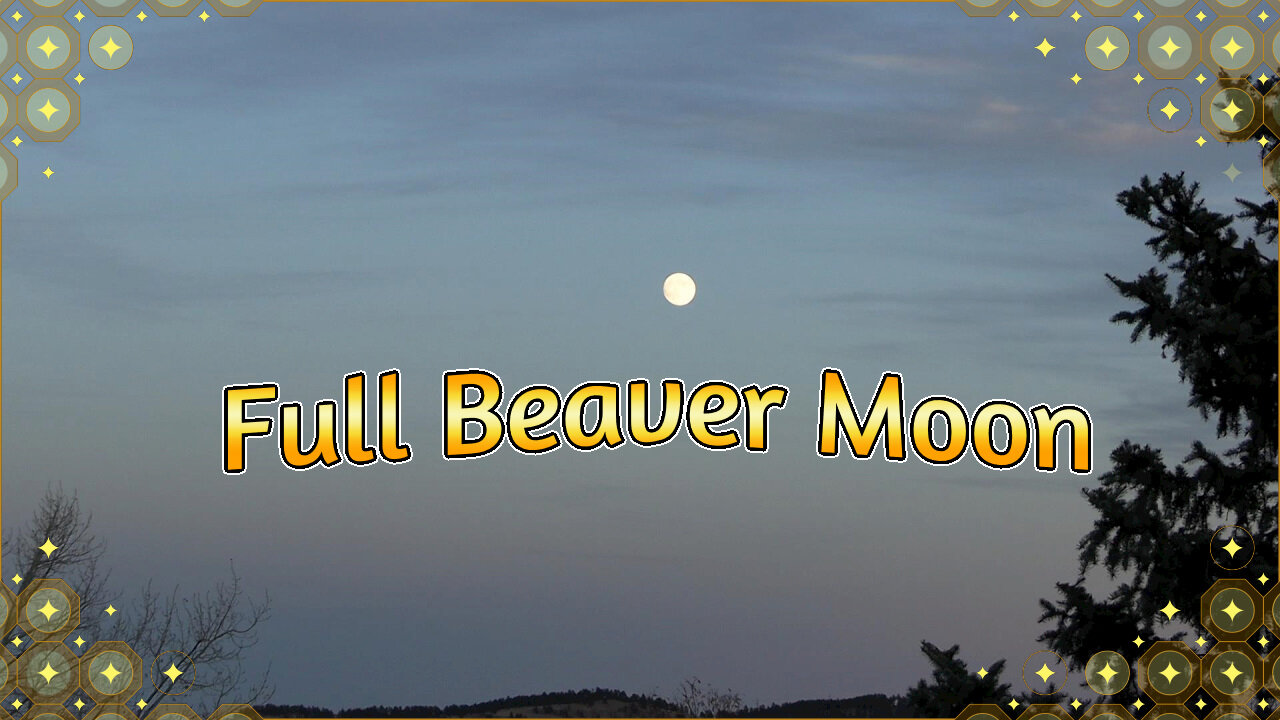 Full beaver moon 11/14/2024