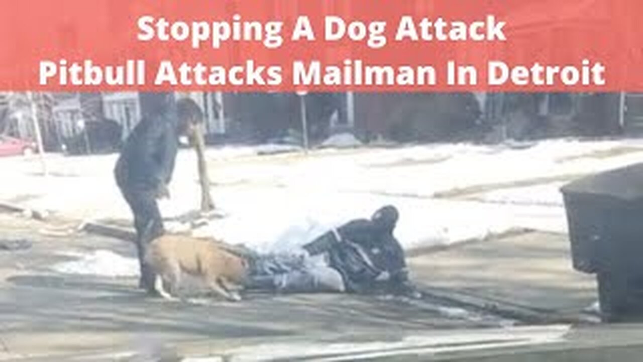 Dog Attack: Analyzing Detroit Dog Attack On US Mailman, How to Defend Against Dog Attack