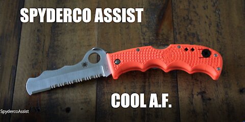 REVIEW: SPYDERCO ASSIST - Cool AF