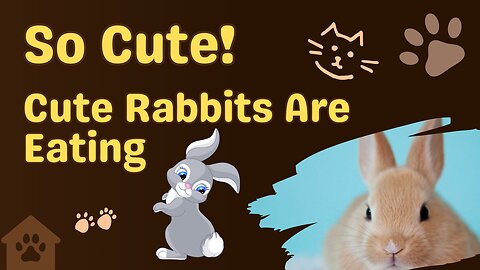 Cute Rabbits Are Eating 🥕🐰