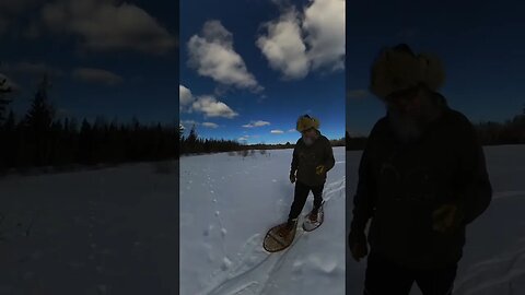 Snowshoe ASMR