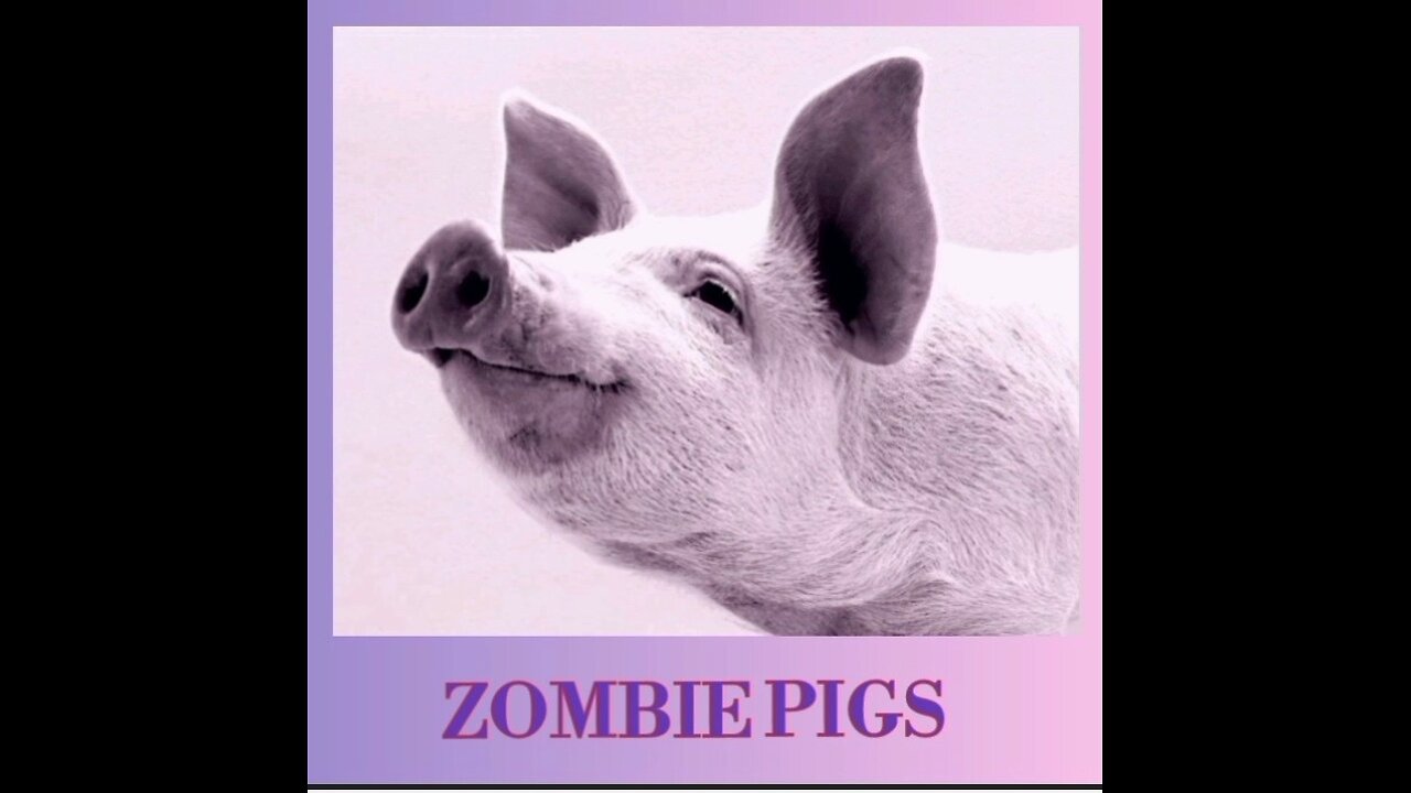 ZOMBIE PIGS 🐷