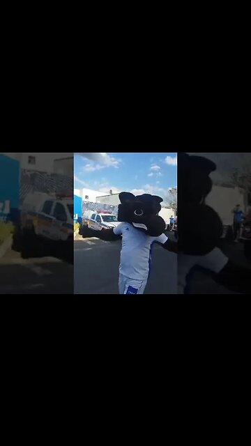 Raposão aposentado sendo saudado pela torcida do Cruzeiro