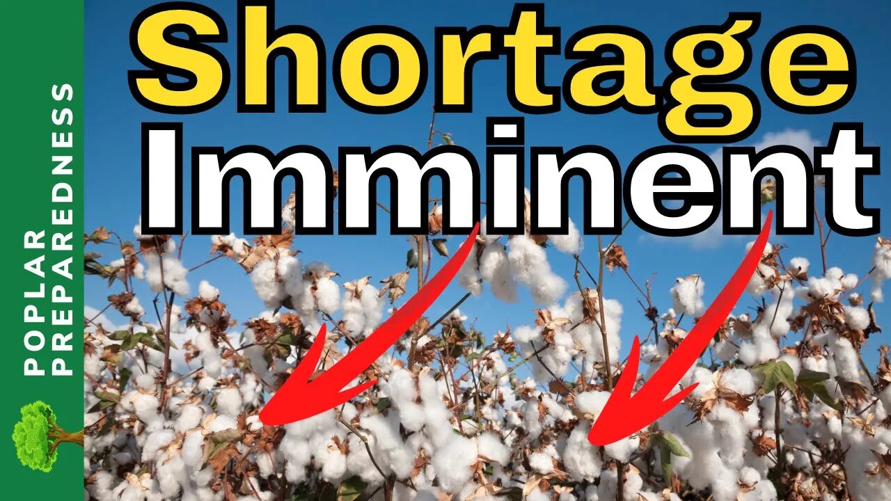 HUGE Crop Losses in September | Massive Cotton Shortage Imminent