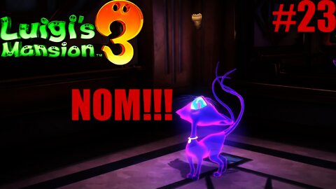 Polterkitty's Revenge!!!: Luigi's Mansion 3 #23