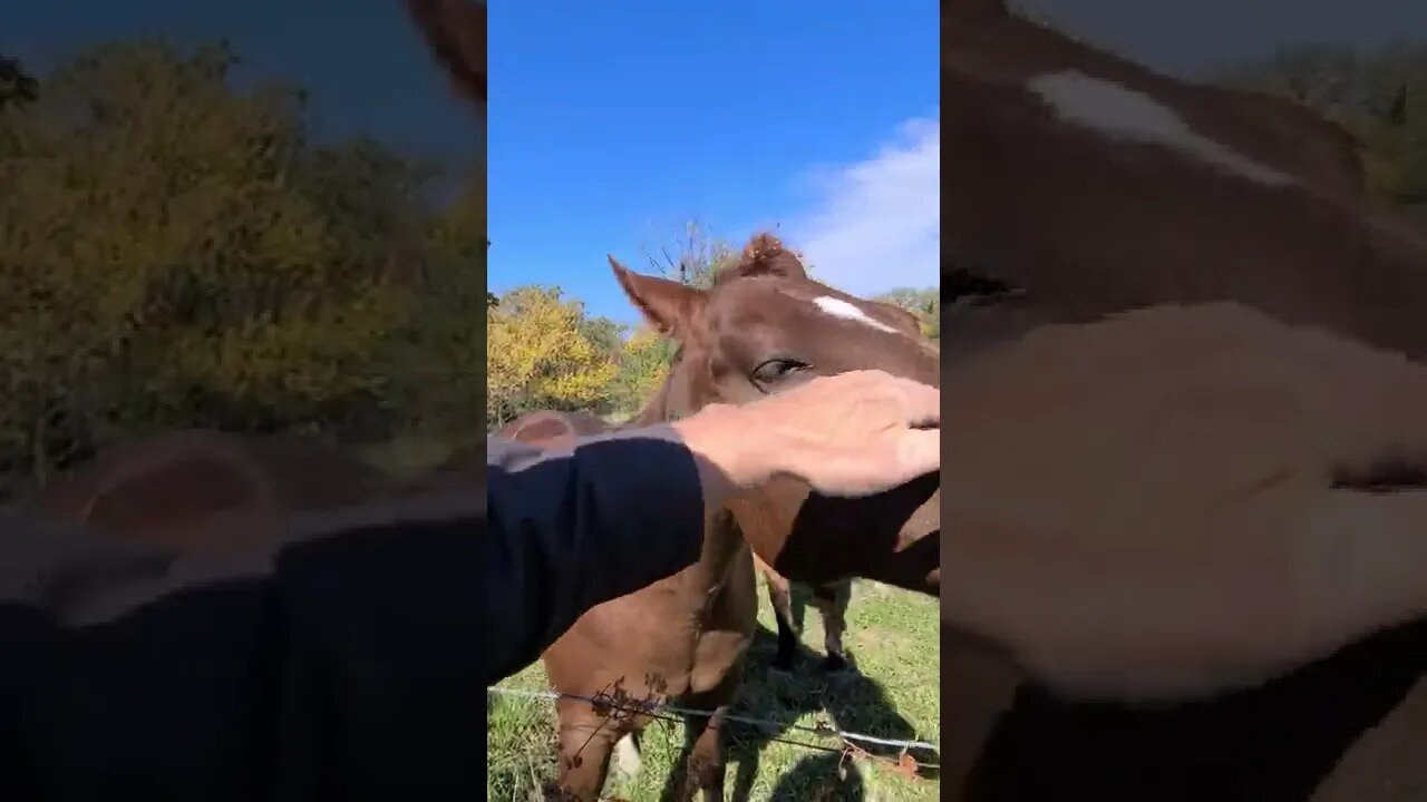 Morning π Hike πΆββοΈ around the Farm π