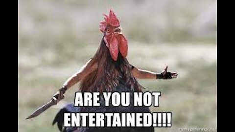 These Birds are Funny