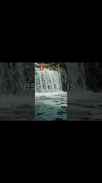 QUE ESCOLHAS VOCÊ FAZ?