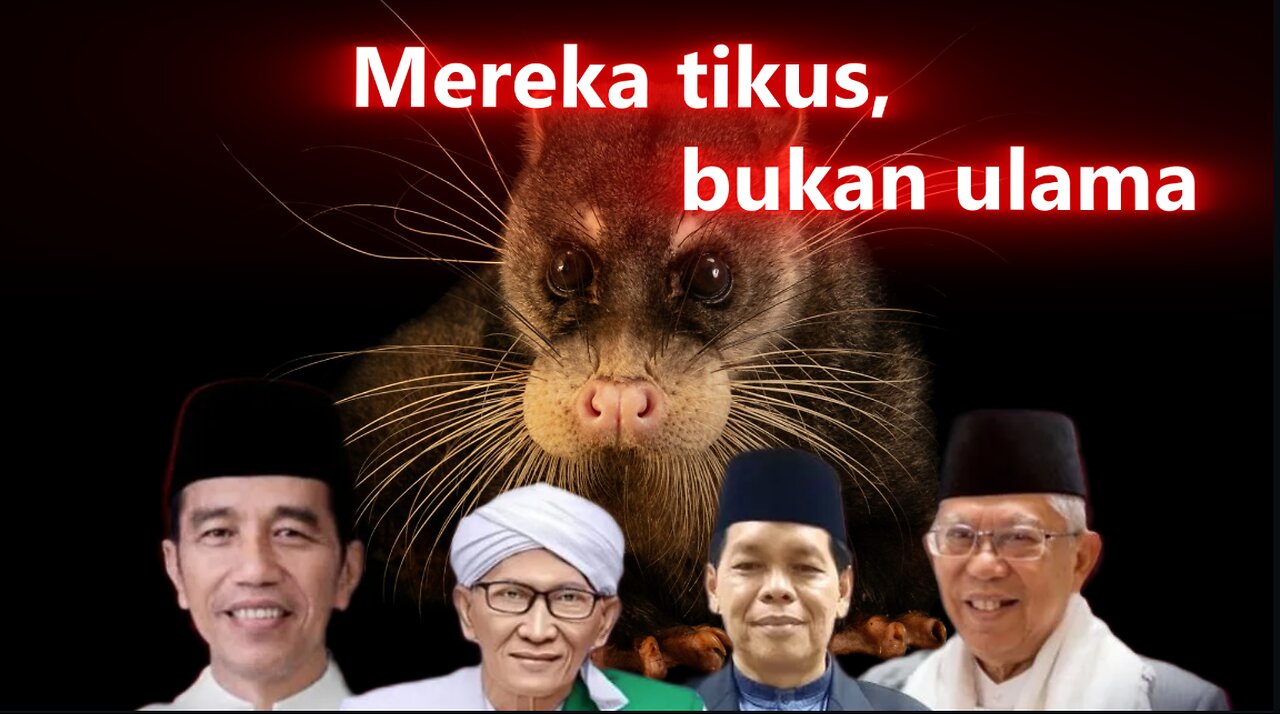 Muslims Indonesian Where is your scholars? Mereka tikus, bukan ulama