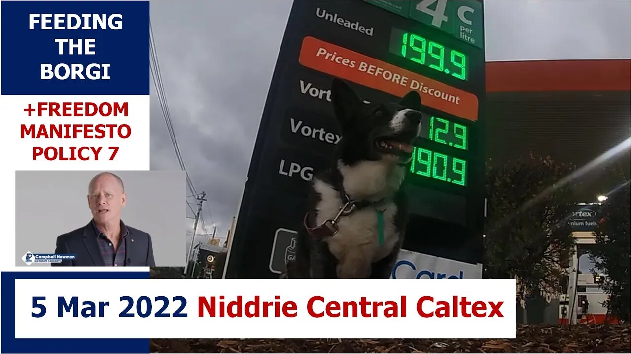 7:30pm 5 Mar 2022 - Feeding the Borgi (+ LibDem Policy 7): Niddrie Central Caltex Woolworths