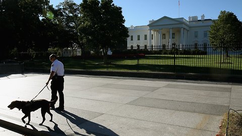 D.C. Prepares For Second 'Unite The Right' Rally