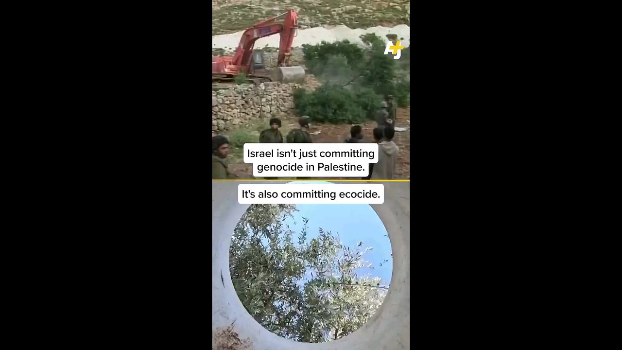 Israel committing ecocide and genocide, destroying environment with land control.