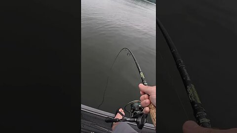 I Thought I Hooked A Catfish…I Was WRONG!