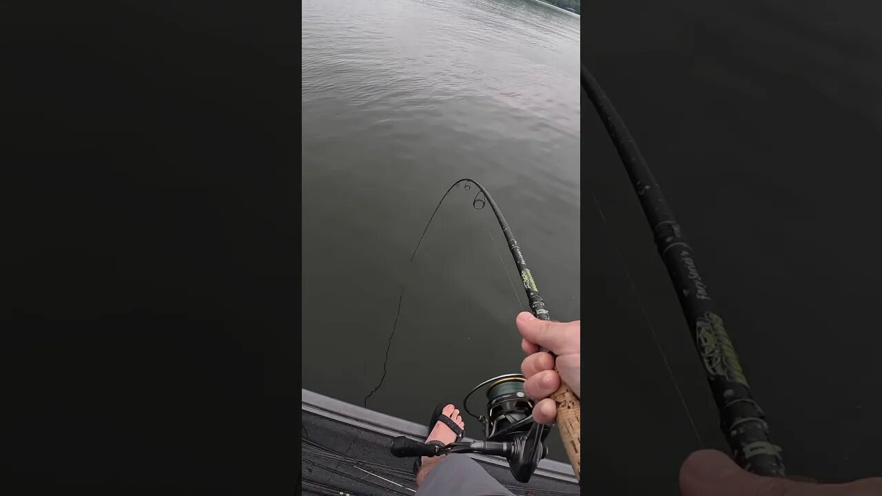 I Thought I Hooked A Catfish…I Was WRONG!