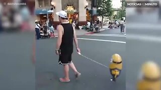 Se não tem um cachorro, passeie com um Minion