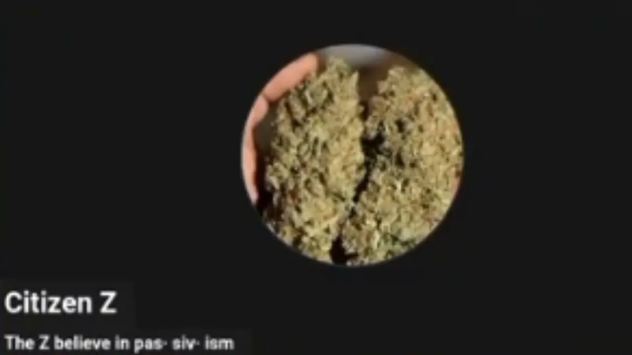 citizen 💤 on LSD or mushrooms 🍄?