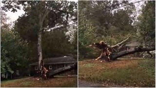 Un albero distrugge una casa negli USA