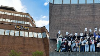 #PapaUQAM : Une manifestation « en bobettes » se tiendra à Montréal cette semaine