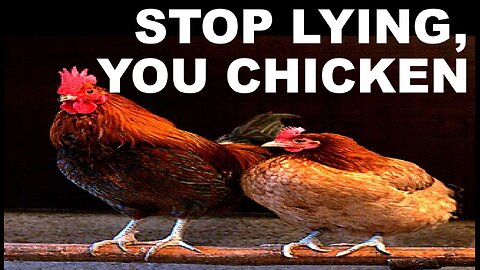 STOP LYING, YOU CHICKEN !