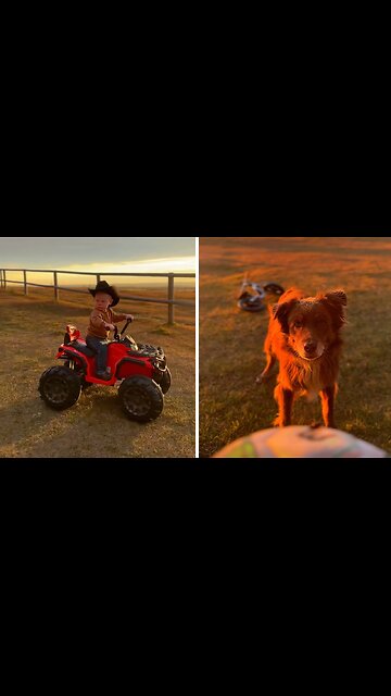 Toddler enjoy the outdoors country life