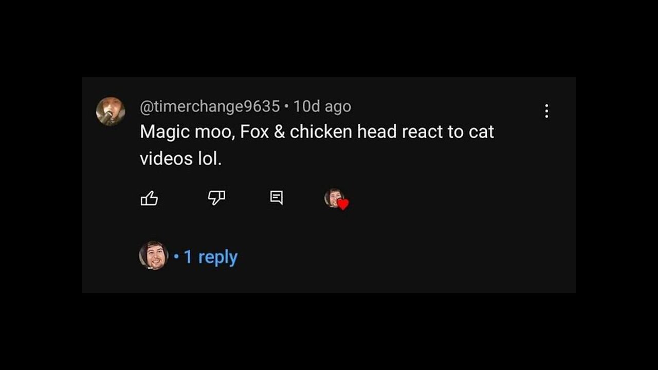 Magic Moo, Fox, AND Chicken Head React To Cat Videos