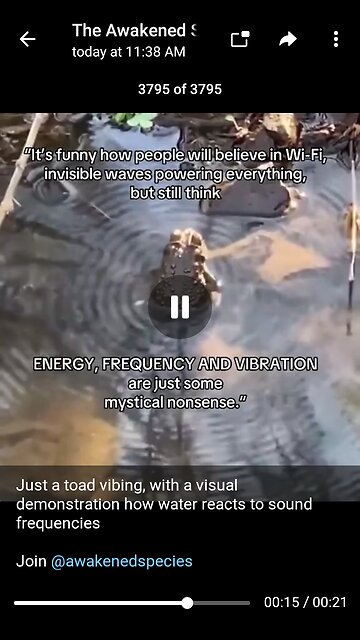 Documentary: Frog Energy and Frequency