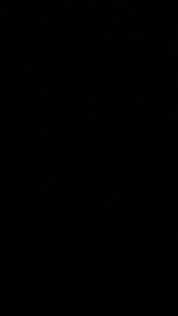 Preparing for a post American future