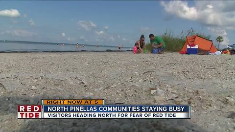 Offshore winds lessening red tide impacts in Pinellas Co.