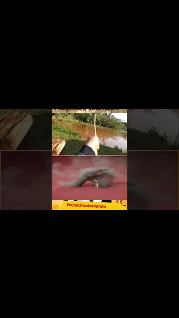 A surra foi feia... uma hora apanhando.... ai ai... #shorts