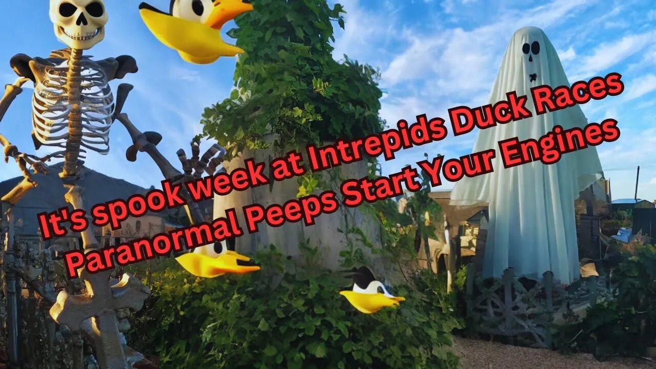 Live Duck Race #18 | Wed 28th June 11am Adelaide Time | Intrepids